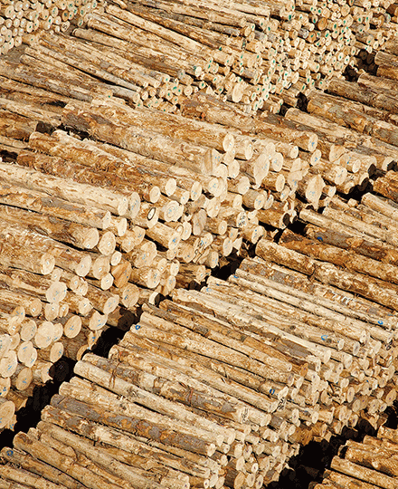 Bulk Commodity Trade