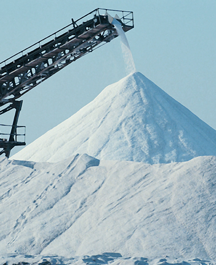 Bulk Commodity Trade