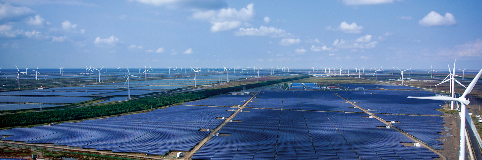 Creativity	Reliability Sustainability